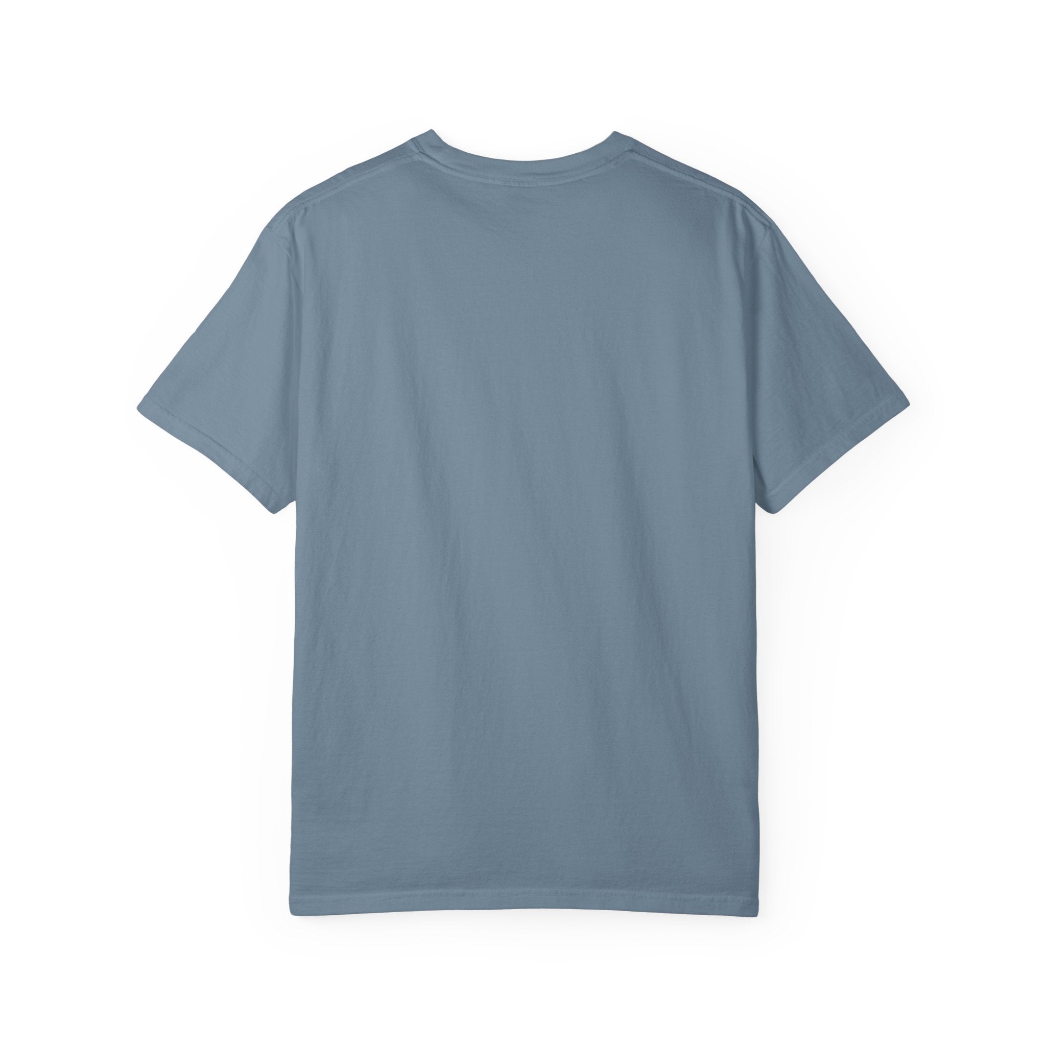 Resident Landlord I Pay The Mortgage I Am Just The Tenant T-shirt | Renter Rights Tee