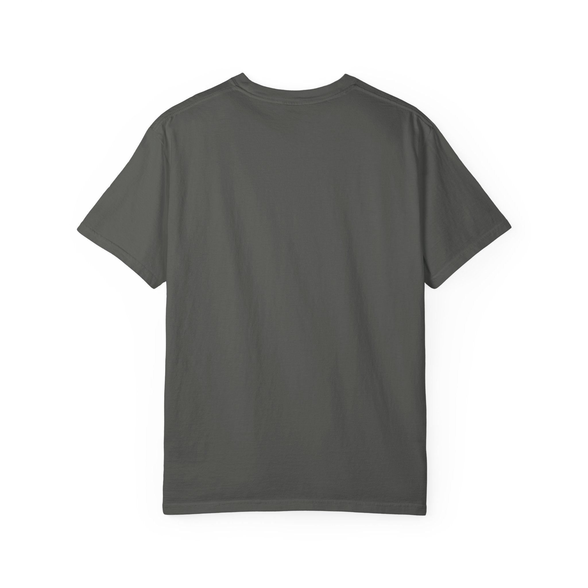 Resident Landlord I Pay The Mortgage I Am Just The Tenant T-shirt | Renter Rights Tee